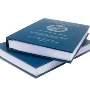 Premium Thesis and Dissertation